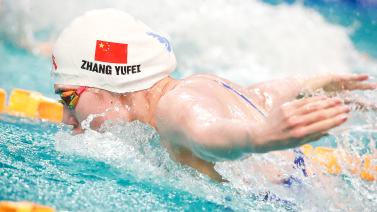 他們的加盟 他們的加盟