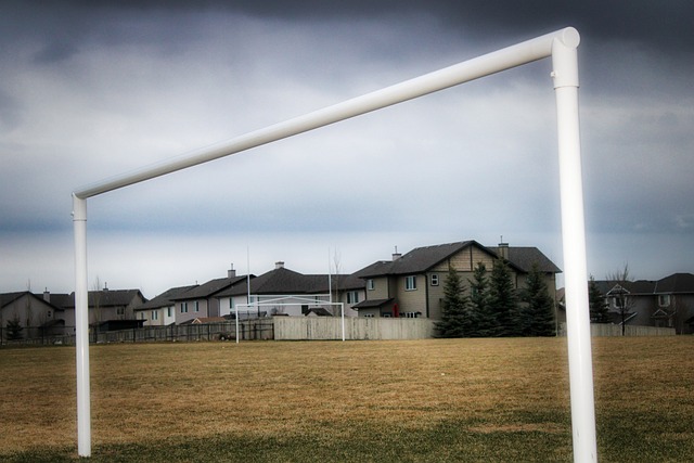 象值得深思 象值得深思