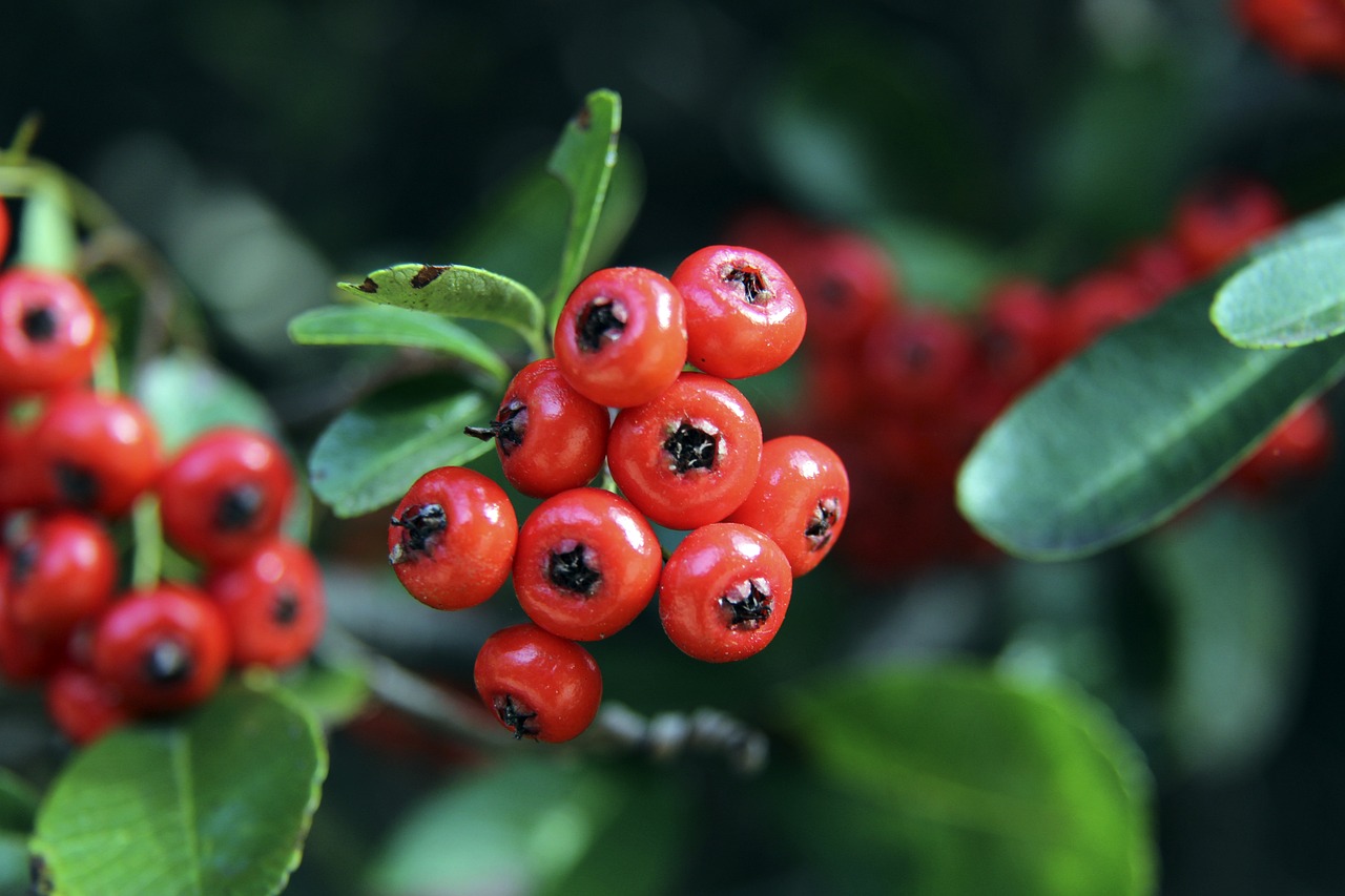 负的战绩 负的战绩