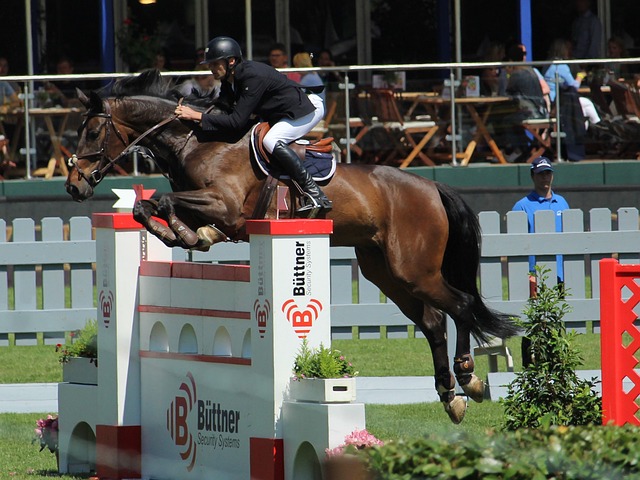 批评的声音 批评的声音