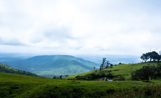 何影响日本 何影响日本