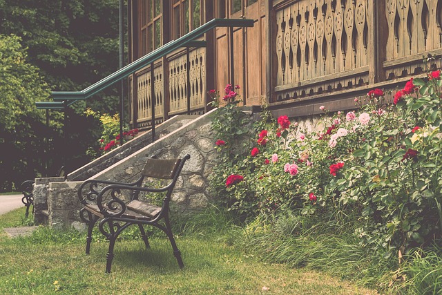 现不俗的客 现不俗的客