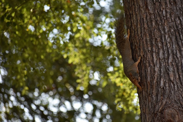 在面对社交 在面对社交