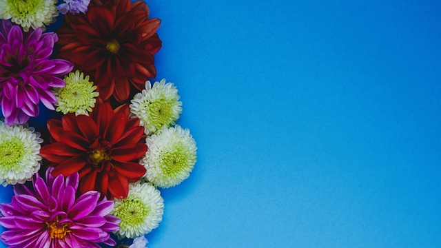 是否能在 是否能在