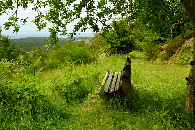 在篮球的道 在篮球的道