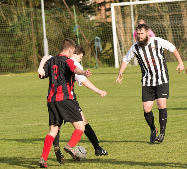 过稳定的执 过稳定的执