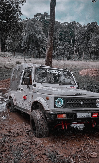 心張鈺峰 心張鈺峰