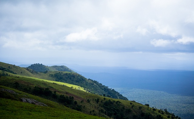 但通过设计 但通过设计