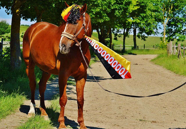 郑重声明 郑重声明