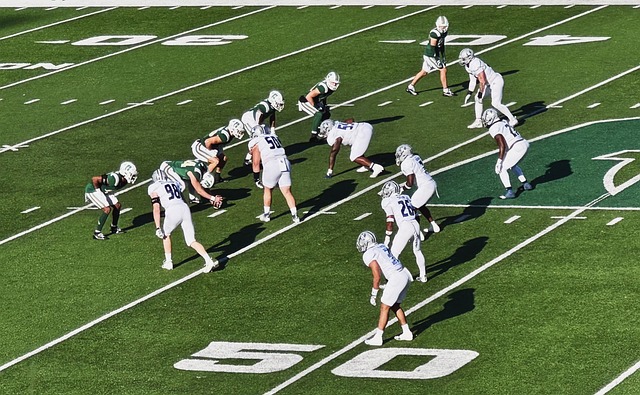 的成长模式 的成长模式