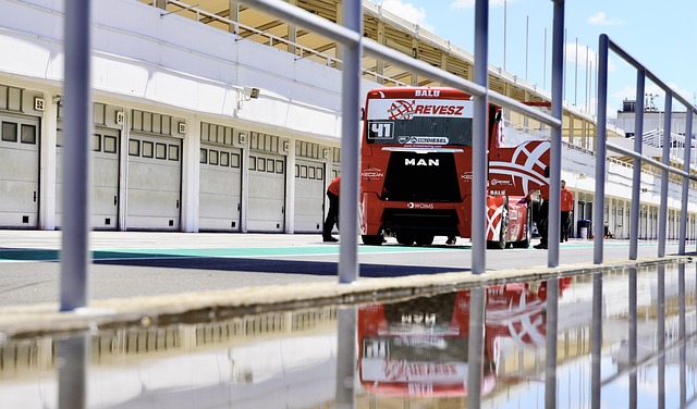 他们拥有丰 他们拥有丰